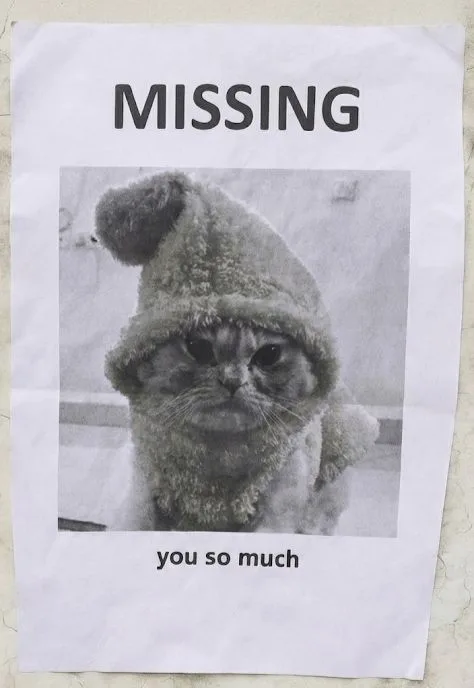 Megu poster